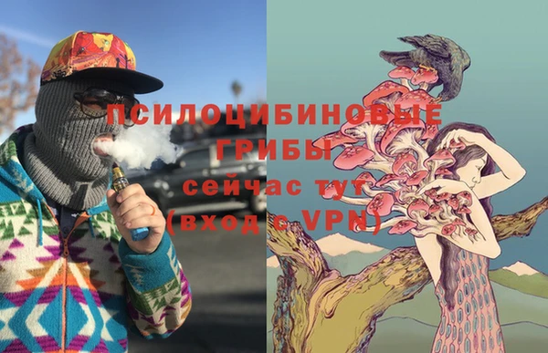 прущие грибы Армянск