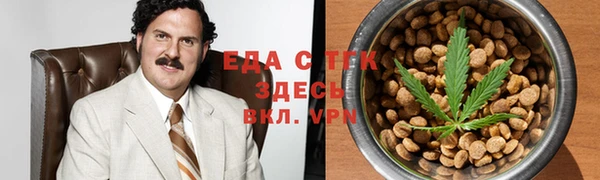 стаф Арсеньев
