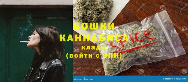 стаф Арсеньев