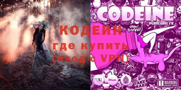 стаф Арсеньев