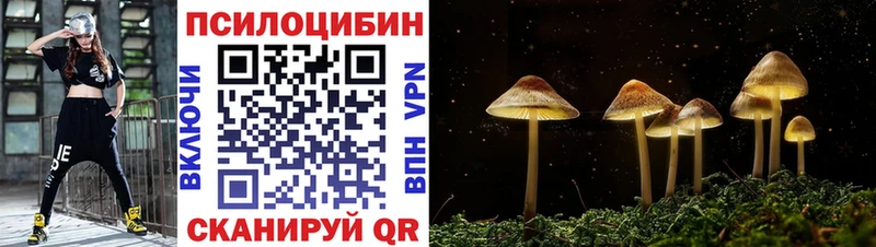 blacksprut маркетплейс  Алагир  Галлюциногенные грибы GOLDEN TEACHER 